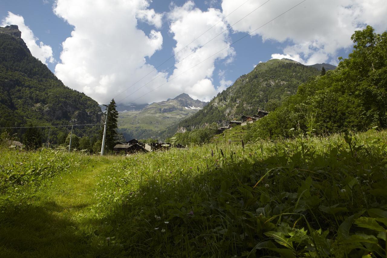 Hotel Monterosa 알라냐발세시아 외부 사진